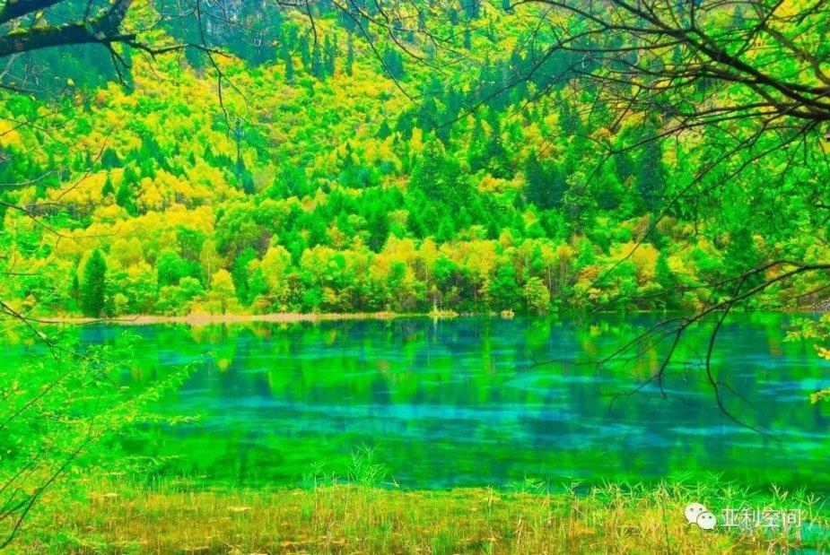 逃离危险禁地